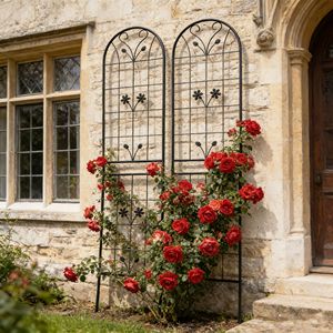 Set di 2 tralicci da giardino in PVC nero antiruggine 220 cm x 50 cm per piante rampicanti e decorazioni da esterno - Product Image 3