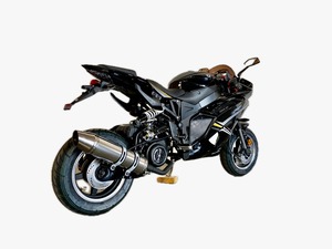 Motocicleta de Gasolina Vintage de Alta Venta Ms X18R 200CC de Cuatro Tiempos con Transmisión Automática y Certificación EEC - Product Image 4