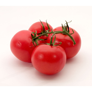 Tomates rouges fraîches en gros disponibles - Product Image 5