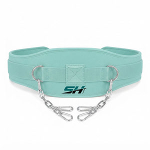 Ceinture de musculation en néoprène Advanced Sports Gear, légère, douce au toucher, rembourrée, réglable, avec chaîne en acier inoxydable - Product Image 1