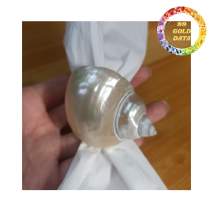 Porte-serviettes décoratif moderne de luxe en coquillage naturel, écologique, pour salle de bain ou maison sur le thème de la plage - Product Image 2
