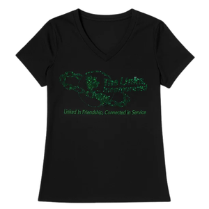 Camiseta con cuello en V y pedrería negra de Links Inc, camisa de algodón con logotipo bordado para mujer, colección Sacred Heart, top para mujer - Product Image 2