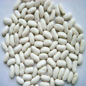 Vente en gros de gros pois blancs frais, riches en sucre et au goût sucré - Product Image 4