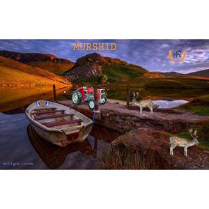 Tractor Massey Ferguson de calidad de exportación MF 240 2WD 50 HP perfecto para startups de agricultura mecanizada para exportar al mercado africano - Product Image 2