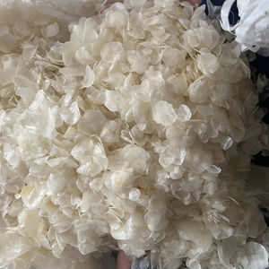 Tilapia Descalcificada y Blanqueada, Seca, con 13% de Ceniza Máxima, Procesada FD, Congelada BQF, Pescado Crudo de Primera Calidad, Origen Vietnam/ Sra. Lima - Product Image 1