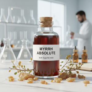 Aceite Absoluto de Mirra Pura 100% Natural, Extraído con Solvente, Resina de Commiphora Myrrha, Grado Aromaterapia, Venta al Por Mayor - Product Image 4