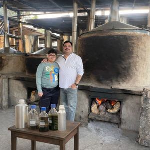 Aceite de Agarwood 100% Puro (Aceite de Oud) para Perfumería y Fragancias de Lujo – Fabricante a Granel en India - Product Image 1