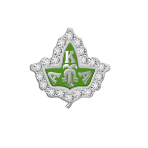 AKA Ivy Grande - Charm de Plata de Ley con Diseño de Hiedra en Color Plata y Verde para Mujer, Joyería de Moda Elegante - Product Image 5