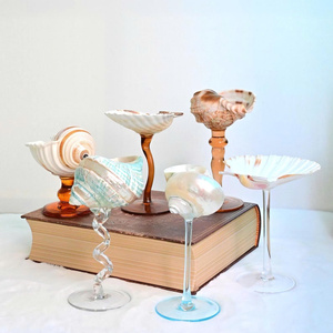 Seashell Cups Hot-Selling Natural Conch Shell <b>Wine</b> Glass Sea Shell <b>Goblet</b> for Picnics Parties Birthdays Gifts Wedding Gifts - Product Image 4
