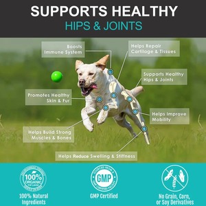 Friandises probiotiques de haute qualité pour chiens et chats, soutien digestif, équilibre immunitaire, bien-être quotidien, complément alimentaire pour animaux de compagnie OEM ODM - Product Image 5