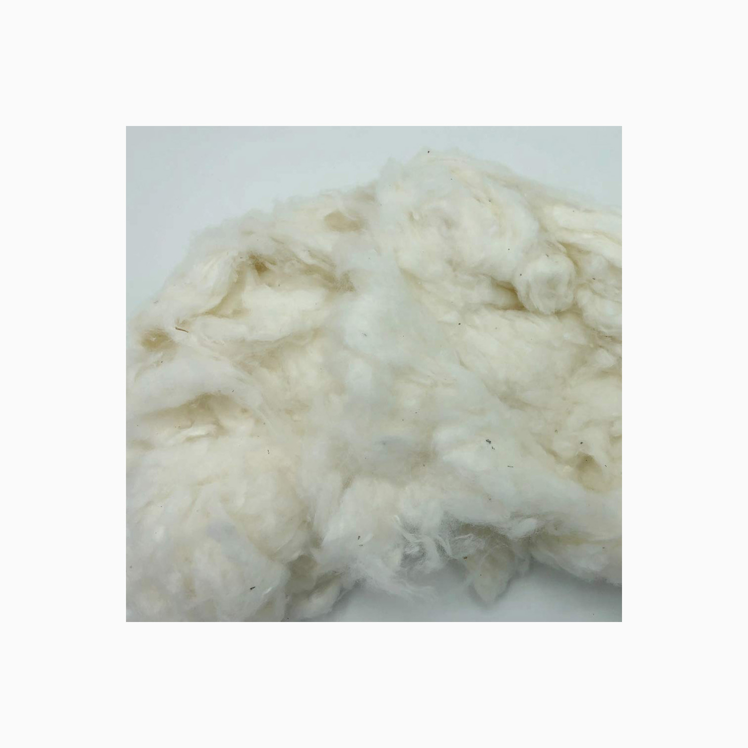 High Quality Organic Raw Cotton 100% Organic Cotton Material Breathable Anti-Bacterial Eco-Friendly Filling Material Cotton
