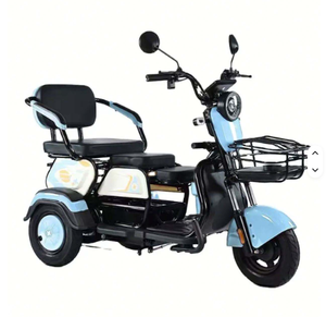 Best Sales Electric Pedicab Supplier Two-Seater Electric <b>Tricycle</b> - Product Image 6