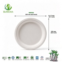 Assiettes jetables en bagasse de canne à sucre SUMKOKA sans PFAS, compostables et biodégradables, 9 pouces, assiettes rondes en bagasse