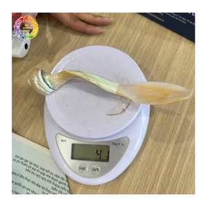 Fabricant de cuillères en coquillages de luxe, produits naturels faits à la main, meilleur ensemble de cuillères en nacre, vaisselle écologique - Product Image 1