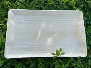 Assiettes jetables en feuilles de palmier Areca de Pangreen Global Corporation, 100% compostables, biodégradables, respectueuses de l'environnement - Product Image 5