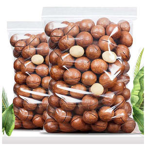 Suministro a granel de cáscaras de nuez de macadamia para exportación a los mejores precios, nuez de macadamia en cáscara de alta calidad en venta - Product Image 3