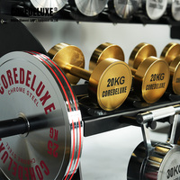 Coredeluxe Chrome Enduit Fonte Haltère Doré Haltère Ensemble Sports Gym Équipement