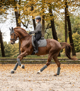 Juego de sudaderos de montura occidental personalizados OEM, de lona brillante color burdeos, para saltos de caballo multiusos, equipo ecuestre premium - Product Image 4