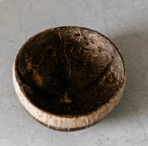 <b>Coconut</b> <b>Shell</b> Bowl High Quality Handmade Eco Friendly Durable Polished Natural Reusable Kitchen Serving Dining Product - Product Image 4