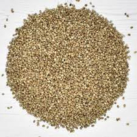 Graines de chanvre de qualité supérieure, Afrique du Sud, exportation mondiale, approvisionnement en vrac pour l'industrie agroalimentaire