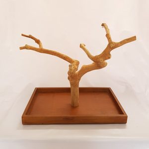 Producto Popular, Percha de Madera de Java (Madera de Café) para Pájaros, Juguetes para Loros, Accesorios para Aves, de Fabricante Vietnamita, Venta al por Mayor - Product Image 2
