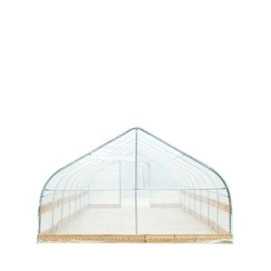 12 'X 20' Tunnel serra 6 Mil chiaro EVA pellicola di plastica con telaio a mano a manovella con lato arrotolante tetto del soffitto di punta TMG-GH1220 giardino - Product Image 5