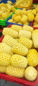 PIÑA enlatada de calidad de exportación-LISTA PARA EL MERCADO INTERNACIONAL - Product Image 6