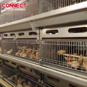 กรงเลี้ยงไก่แบบซ้อนชั้นชุบสังกะสีแบบจุ่มร้อน ความจุ <span class=keywords><strong>86400</strong></span> ตัว รุ่น Max <span class=keywords><strong>86400</strong></span> Birds Single-batch  พร้อมชั้นวางกรงแบบแบตเตอรี่ - Product Image 2