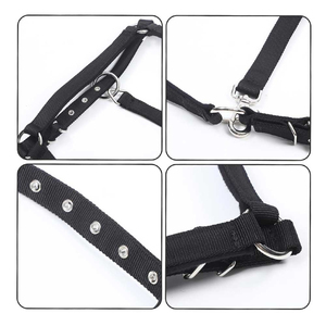 Harnais de cheval de style classique, parfait pour un travail stable et une manipulation douce, avec rembourrage doux pour un contrôle délicat et un confort durable. - Product Image 3