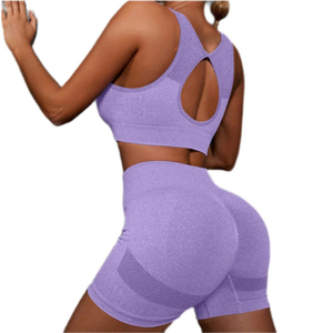 Ensemble de sport 2 pièces pour femme en nylon et élasthanne sans couture, soutien-gorge de sport et short de yoga, haute qualité, personnalisé, vente en gros - Product Image 2