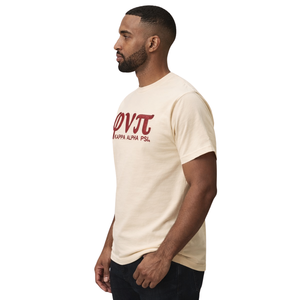 T-shirt en feutre Kappa Alpha Psi Old Skool Phi Nu Pi, vêtements de fraternité grecque avec design vintage, confort premium et style classique - Product Image 3