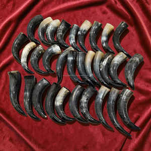 Cuerno de buey vikingo tallado a mano, artesanía nórdica de lujo a precio económico. - Product Image 5