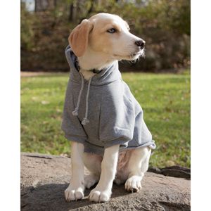 Felpa con Cappuccio per Animali Domestici in Cotone Peluche alla Moda, Comoda e Calda - Product Image 6