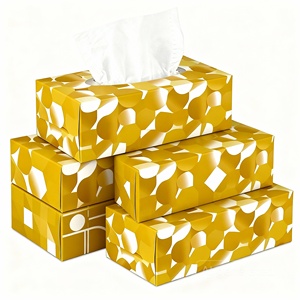 Caja de Pañuelos Faciales de Marca Privada, Papel Suave y Cómodo, Empaque Profesional para Negocios Mayoristas - Product Image 1