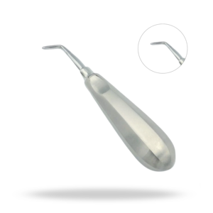 Instrumento dental veterinario de cabeza plana de tamaño estándar para elevación y extracción de dientes de caballo - Product Image 1