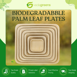 มีสินค้าให้เลือกมากมาย ขายดีที่สุด ผลิตในอินเดีย จานสี่เหลี่ยมจากใยปาล์มอะเรก้าแบบใช้แล้วทิ้ง มีหลายขนาดให้เลือก กำลังลดราคา - Product Image 4