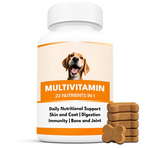 Compléments multivitaminés premium à croquer pour chiens : Nutrition quotidienne, soutien immunitaire, santé de la peau et du pelage, digestion optimale – OEM, ODM, marque privée, vente en gros - Product Image 1