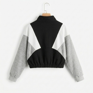 Solid Hooded Regular <b>Sweatshirt</b> Streetwear Breathable Fleece Casual Long Sleeve Gray Pink <b>White</b> Knitted Winter Wear - Product Image 2
