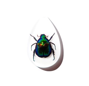 Cabochon en plastique de spécimen réel de scarabée coloré, taille poire, 46x30 mm, blanc, fond plat, pour artisanat et fabrication de bijoux - Product Image 2