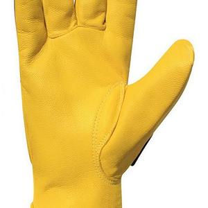 Guantes de Impacto para Deportes con Protección de Cuero de Alta Calidad, Diseño de Palma Antivibración y Dedos Completos - Personalizables - Product Image 5