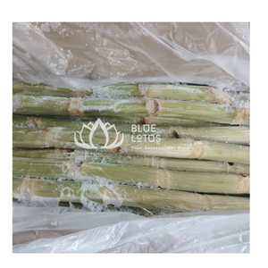 Bâtonnets de canne à sucre surgelés, pelés, IQF, sous vide, pour jus frais, bar à boissons, provenant de la ferme Blue Lotus - Product Image 1