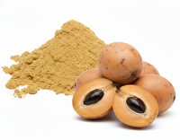 Premium groothandel gespraydroogde Chikoo Sapota poeder, biologisch vacuüm verpakt, bulk, voedingsrijk, voedselkwaliteit, zonder toegevoegde suiker, Halal/Kosher