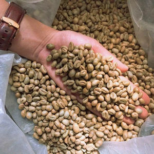 High Grade Vietnam Specialty Arabica Green Coffee <b>Beans</b> Size 16 Black Broken 0.1% USDA Certified TNFOOD Brand 1000kg Bulk Supply - Product Image 1