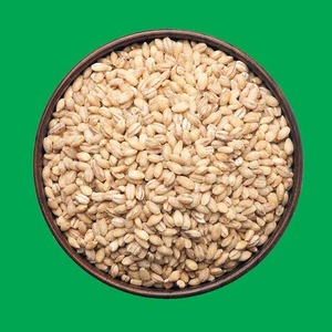 Granos de Cebada Natural en Oferta, Granos de Cebada Enteros Secos de Primera Calidad para Alimentación Animal, Disponibles a un Precio Accesible - Product Image 1