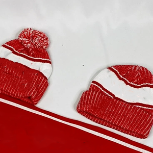 ชุดผ้าพันคอถักลายแจ็คการ์ดพร้อมหมวกปอมปอม ของชมรมนักศึกษาหญิงเดลต้า ซิกมา ทีต้า (DST) ระดับพรีเมียม - ชุดเครื่องแต่งกายฤดูหนาวแบบวาร์ซิตี้ รุ่น Fortitude Legacy - Product Image 6