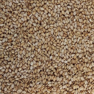 Graines de sésame brun naturelles de la ferme, conditionnement en vrac pour l'exportation, destinées aux acheteurs importateurs exigeant des graines de qualité supérieure soigneusement nettoyées - Product Image 1