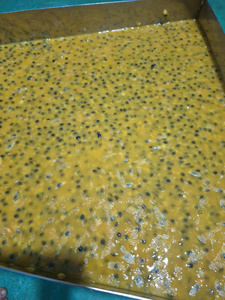Jus de fruit de la passion surgelé, concentré sans pépins IQF, emballage en vrac pour la fabrication de boissons et l'exportation - Product Image 6