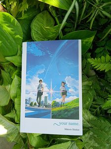 your <b>name</b> <b>light</b> novel by Makoto Shinkai paperback book bestselling for adult - Product Image 2