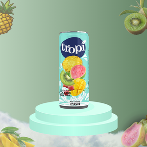 Jugo de Frutas Tropicales de 250 ml, Marca Privada, Vietnam, Muestra Gratis, Diseño Personalizado, Sabores Mixtos, Fruta Pura - Product Image 2