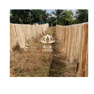 Fibre de banane écologique de qualité supérieure, sûre et propre, 2026, matériau végétal pur, idéale pour la fabrication artisanale et le tissage textile, prix direct - Product Image 1